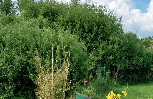 Les Fougères - Foto 9