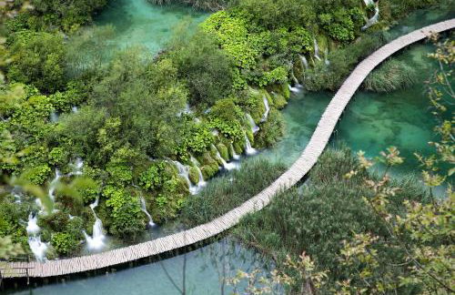 River Rose - Foto 21