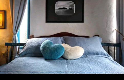 Quinta do Moçambique - Foto 66