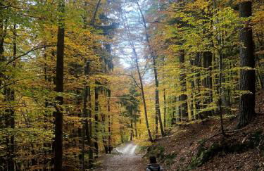 Giuditta FreeCarPark&Garden - Photo 46