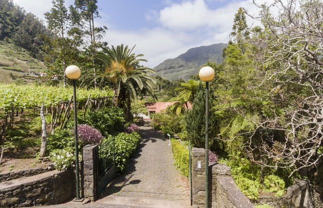 In Laurissilva Forest, Casa do Lanço -carvalho - Foto 59