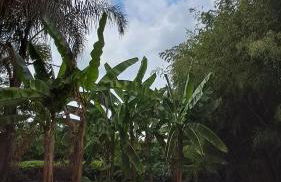 Luxury Villa - Appia Antica - Foto 71