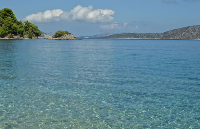 Flower Houses - Foto 27