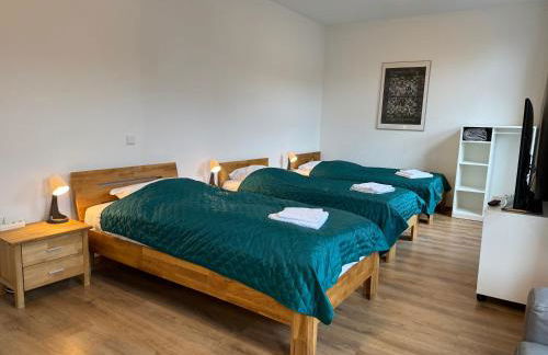 3 Rooms, free Parking, 25 min to Düsseldorf, 200 Mbps WLAN - Photo 8