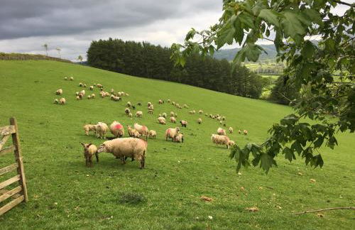 Cae'r Beili - Photo 39