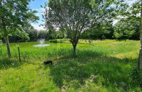 Lias Ferienhaus - Foto 24