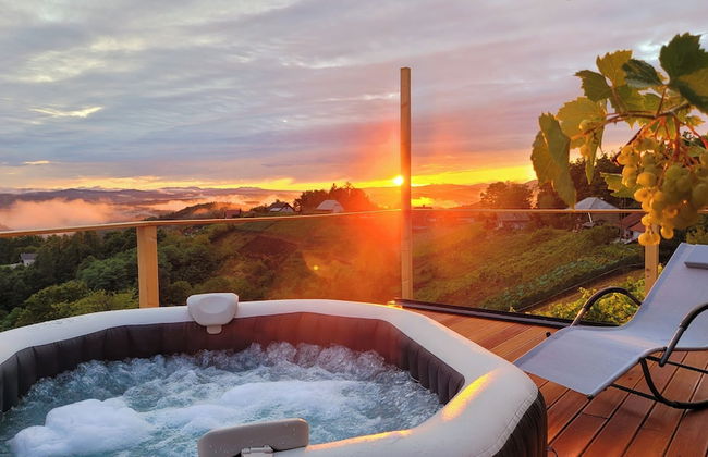 Vineyard cottage Soncni gric - Foto 1