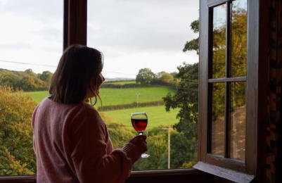 Tregolls Farm Cottages - Foto 5