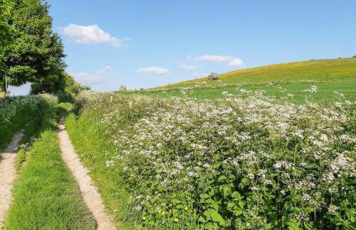 Buckland Lodge - Photo 25