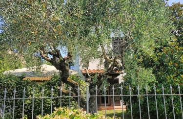 Sunshine Home - Foto 9