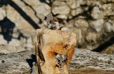 Country House Bakicevo - Photo 33