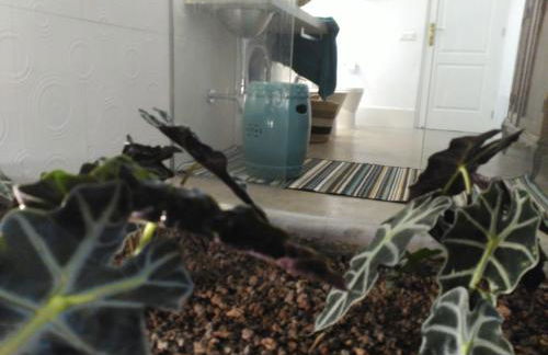 Vilna House with private pool, jacuzzi and garden -Optional pool and jacuzzi heating - Foto 25