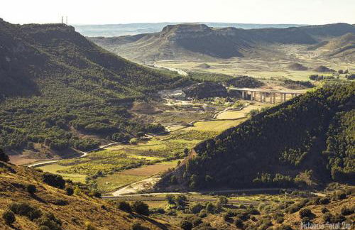 La Bodeguita de Alhama - Photo 48