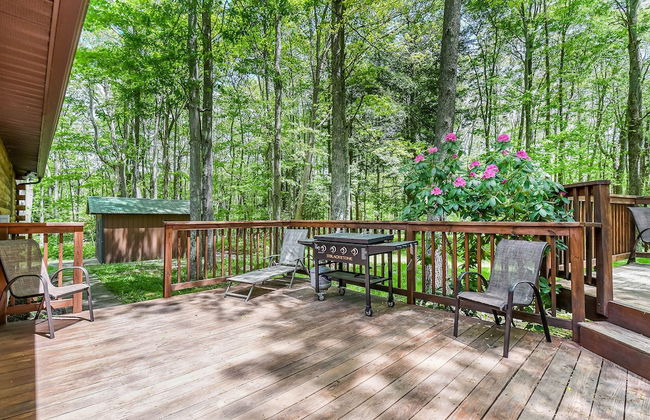 Lincoln Log Cabin - Foto 26