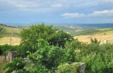 Country House La Collina di Bargiano - Casa Raffaella - Foto 43