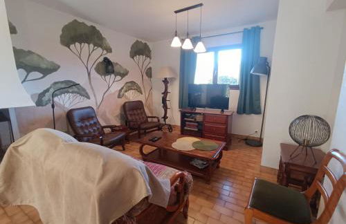 Villa climatisée avec piscine privée et animaux acceptés - FR-1-776-133 - Foto 16