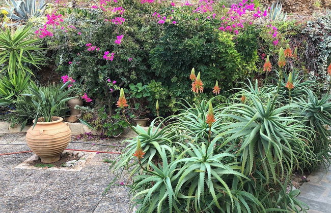 Villa With Pool Sea View Fitness - Photo 24