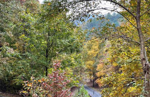 Pet-Friendly Leicester Mountain View Escape - Foto 7