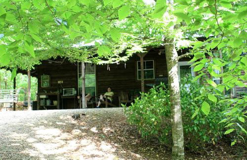 Secluded Forest Cabin Rental with Seasonal Pool near Natchez, Mississippi - Foto 17