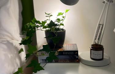 Comfy child/dog friendly garden flat heart Camden - Foto 7