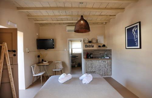 Maistrali Studio Ostria - Photo 34