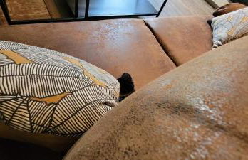 Dormiraneris Résidence Amaryllis - Foto 16