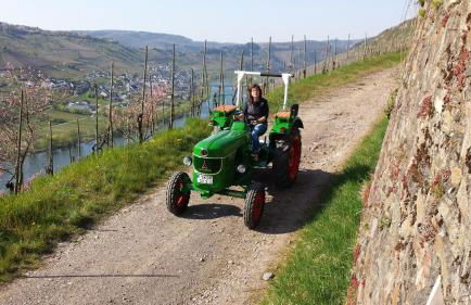 Weingut Hirschen Enkircherweg - Foto 7