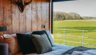 ARA Cabin - Mêl - Foto 2