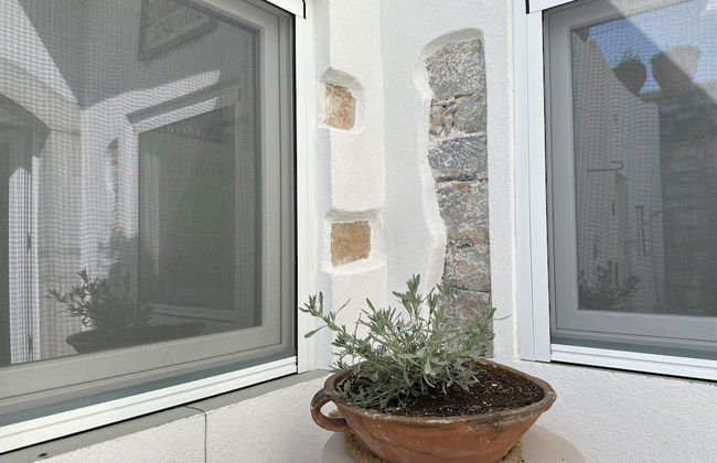 Astra House Braxasi - Foto 33