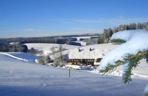 Willmannshof - Photo 17