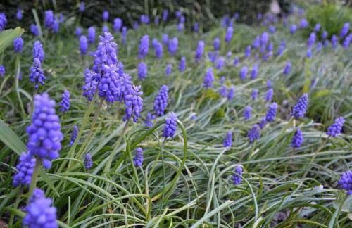Gîte de charme proche du Zoo Beauval et Châteaux - Photo 43