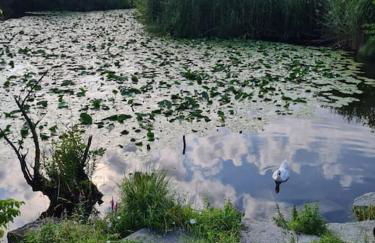 Civico 62 relax vicino al lago - Foto 41