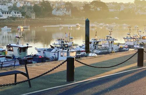 La Magnifique Villa à 500m de la plage - Foto 41