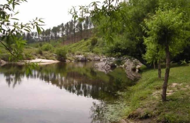 Aparthotel Sueños del bosque - Photo 15