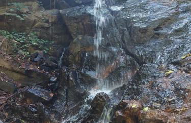 Sítio com piscina natural Cachoeiras de Macacu - Foto 49