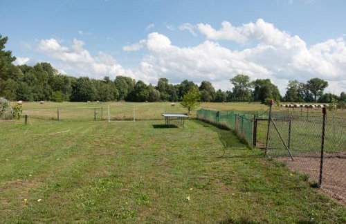 Ferienwohnung Alte Schule - Photo 17