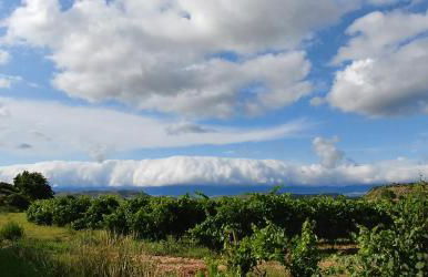 Apartamento ENTREVIÑAS en el corazón de La Rioja - Foto 19