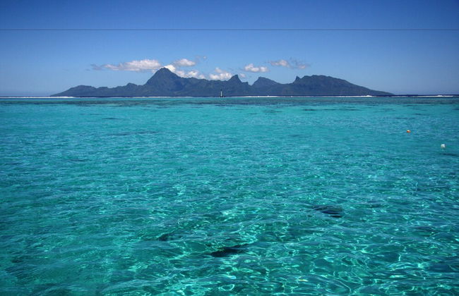Tahiti Sail and Dive - Foto 39