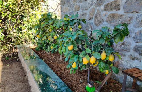 Tellaro, Tramonto sul Golfo - Photo 6