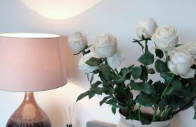 Beach on the doorstep Meridian Tower Marina Swansea - Foto 21