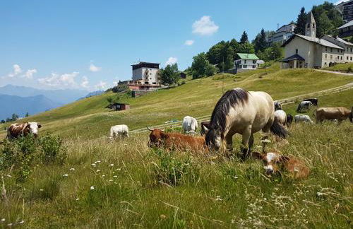 Rifugio Camparient - Foto 40