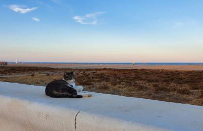 Very Very Vera Beach - Freshly Renovated - Foto 46