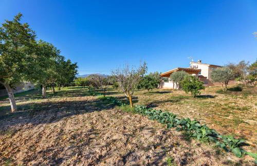 Villa Son Allarga - Foto 24