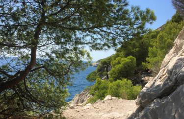 maison entièrement climatisée vue d'exception mer et rade de Marseille avec piscine 8 personnes - Foto 43