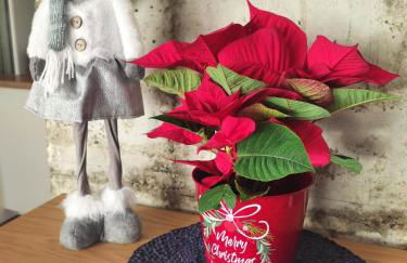 Una ventana al Mar en Málaga - Photo 23