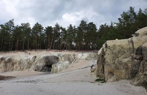 ****FH Blauvogel 60 Harz - Foto 57