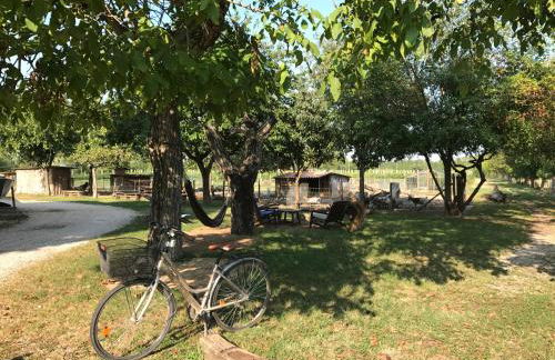 Agriturismo La Montina - Foto 8