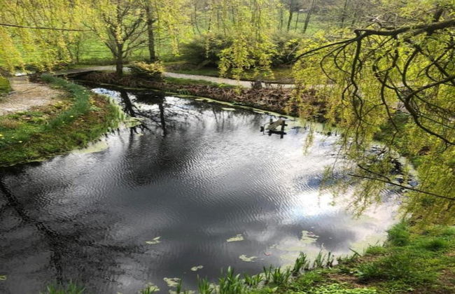 Chalet in Friesland Near Large Lakes - Foto 25