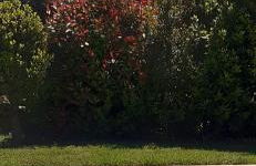 studio 5min plage agosta - Foto 12