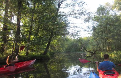 Hey Spreewald Ferienapartments - Foto 7